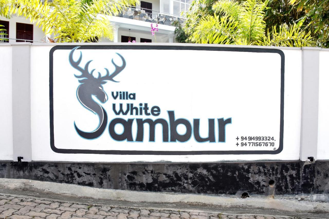 Villa De White Sambur Hikkaduwa Kültér fotó