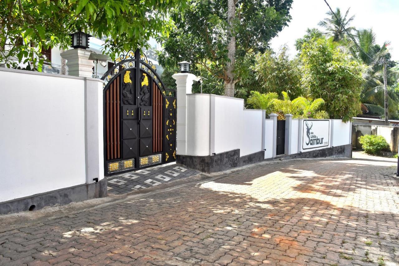 Villa De White Sambur Hikkaduwa Kültér fotó